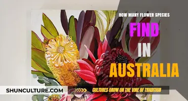 Australia's Diverse Flora: Exploring Countless Flower Species