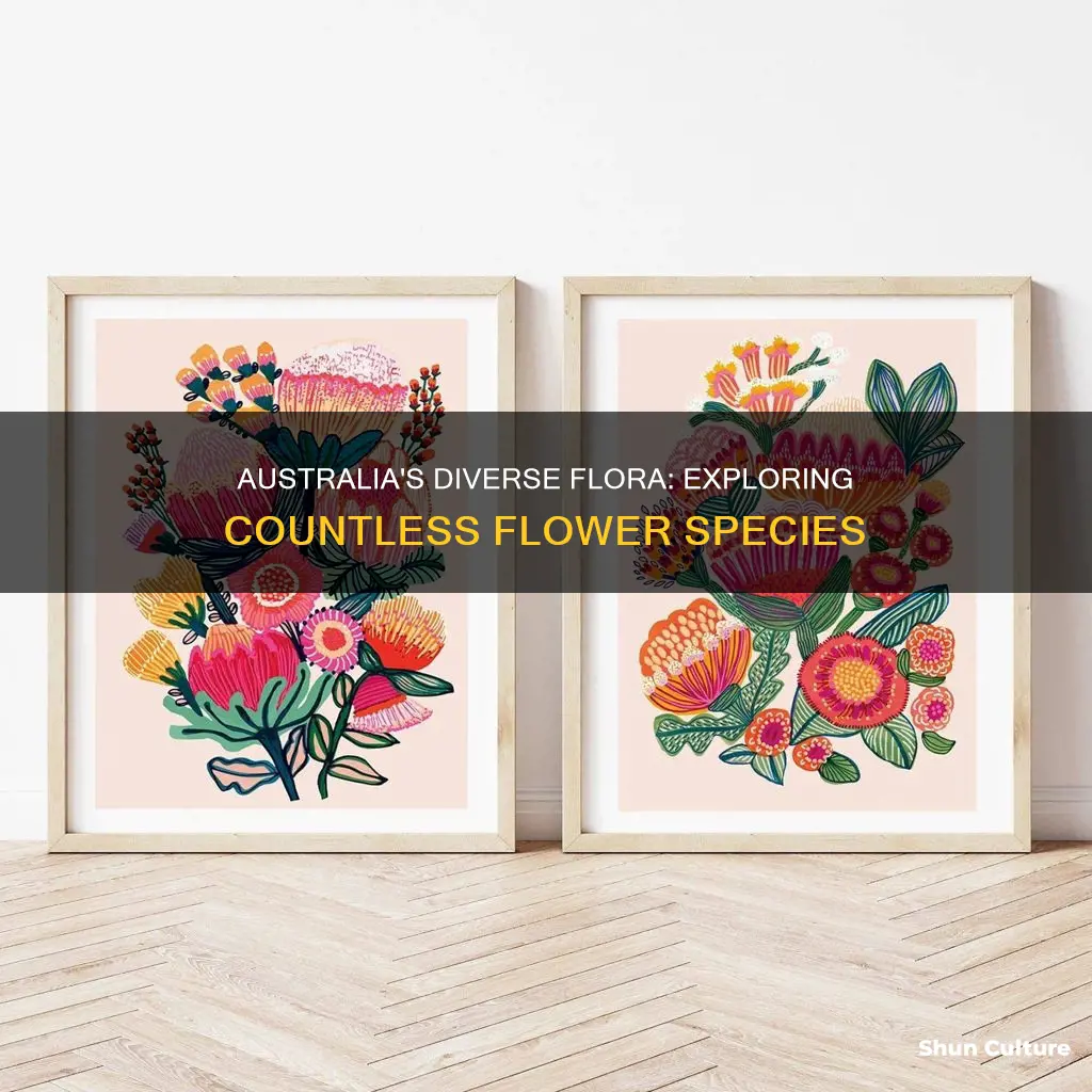 how many flower species find in australia