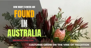The Diverse Flora of Australia: A Countless Beauty