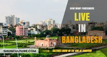 Exploring Bangladesh's Diverse Expat Community: How Many Foreigners Reside There?