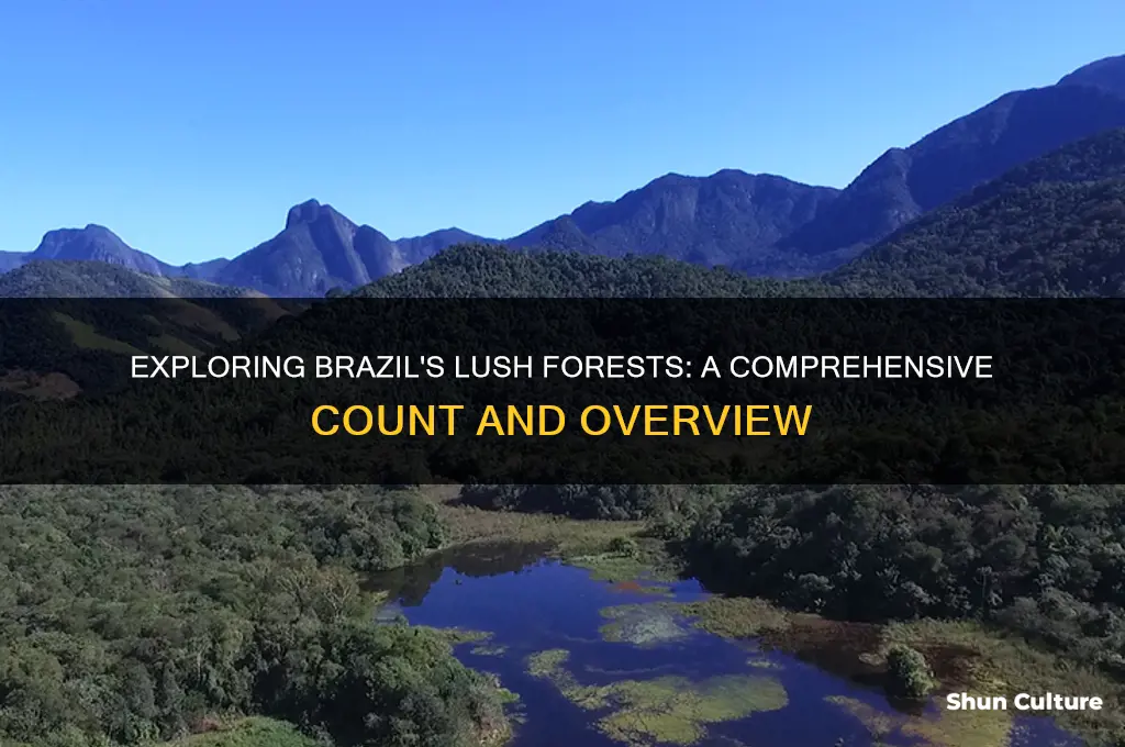 how many forests are in brazil