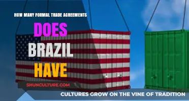 Brazil's Global Trade Network: Exploring Its Numerous Formal Agreements