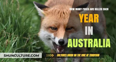Annual Fox Culling in Australia: Understanding the Impact and Numbers