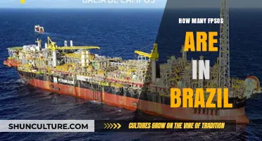 Exploring Brazil's FPSO Fleet: Current Numbers and Industry Insights