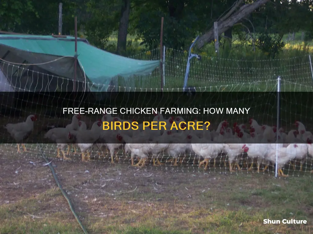 how many free range chickens per acre australia