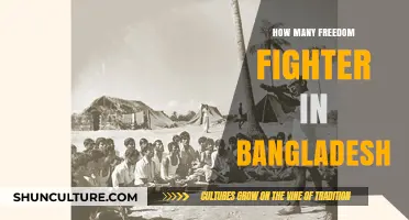 Unveiling Bangladesh's Heroic Freedom Fighters: Their Count and Legacy