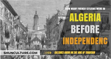 French Presence in Algeria: Pre-Independence Citizen Population Insights