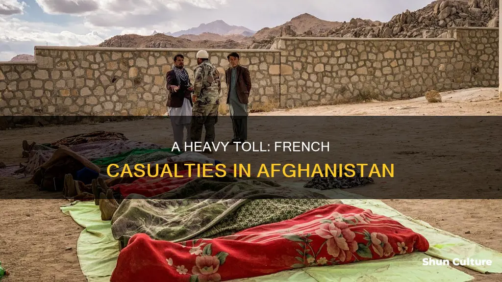 how many french died in afghanistan