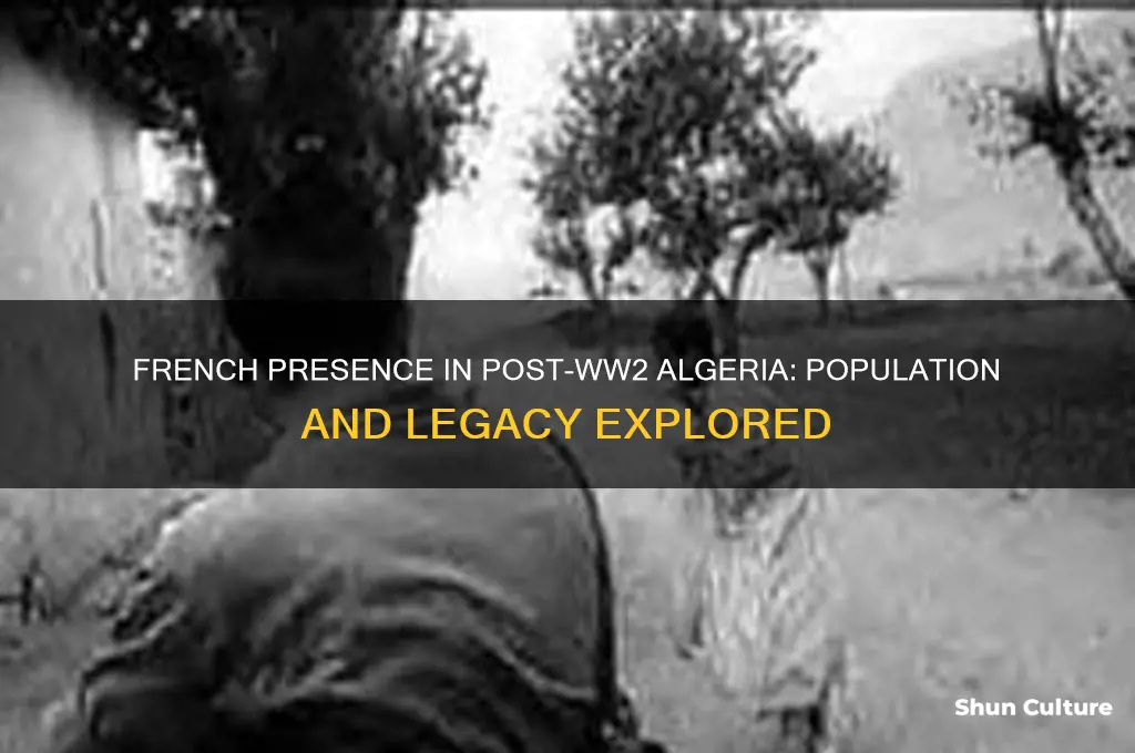 how many french in algeria after ww2