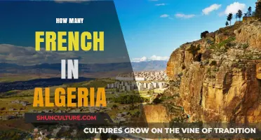 French Presence in Algeria: Historical Demographics and Cultural Impact
