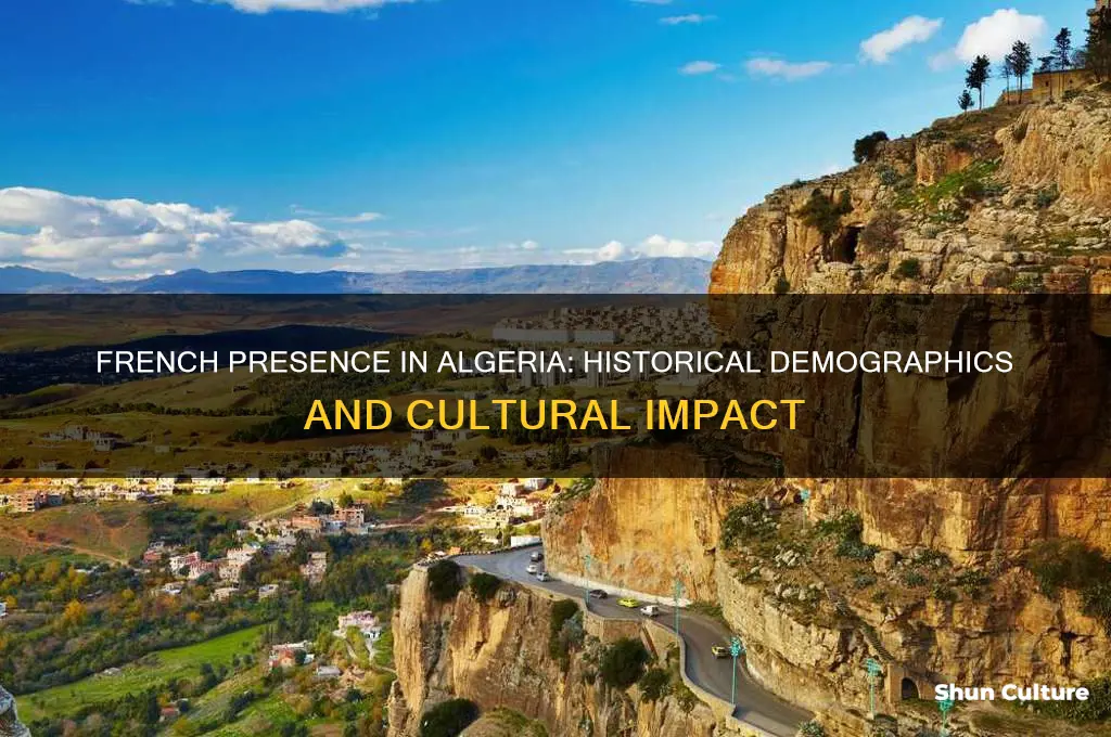 how many french in algeria