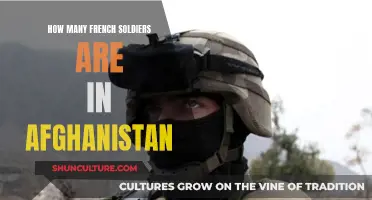 French Troops in Afghanistan: A Comprehensive Overview