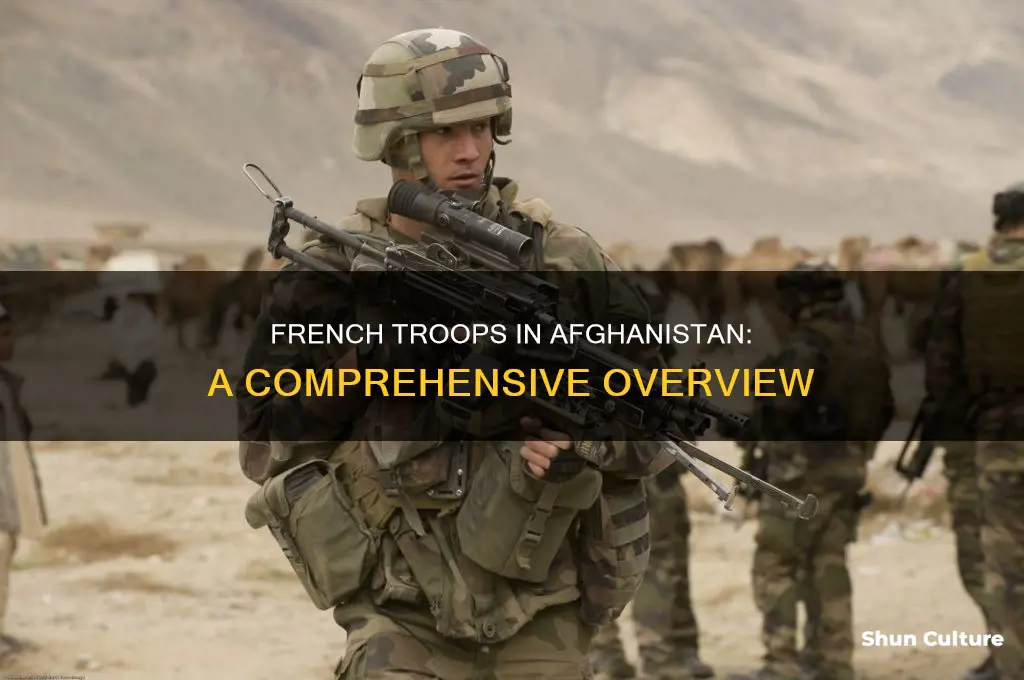 how many french soldiers are in afghanistan