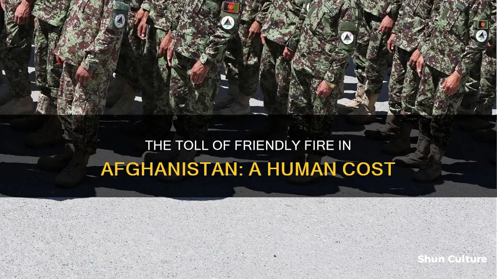 how many friendly fire deaths in afghanistan