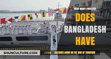 Bangladesh's Naval Strength: Current Frigate Count and Capabilities