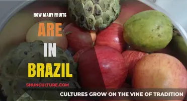 Exploring Brazil's Rich Diversity: A Count of Its Abundant Fruits