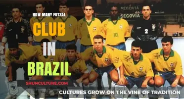 Exploring the Thriving Futsal Scene: How Many Clubs Exist in Brazil?