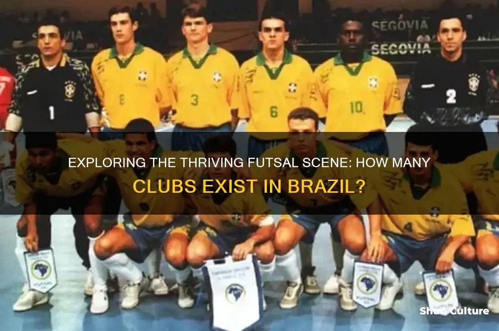how many futsal club in brazil