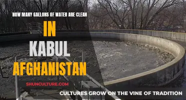 The Plight for Clean Water in Kabul: A Gallon at a Time