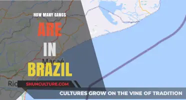 Brazil's Gang Landscape: Unveiling the Complex Web of Criminal Groups