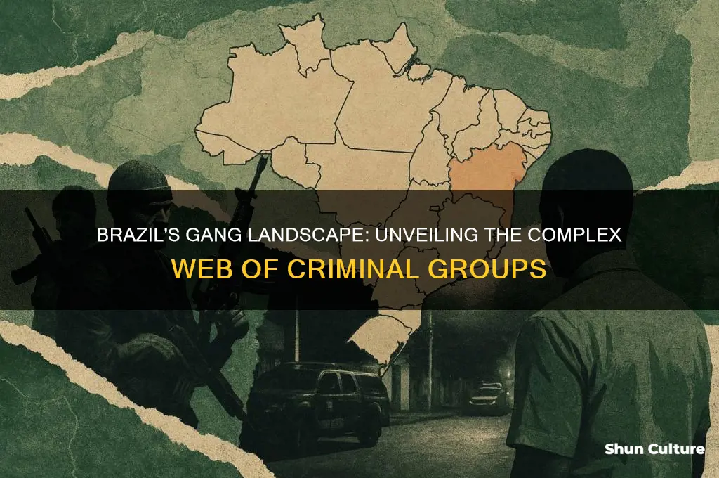 how many gangs are in brazil