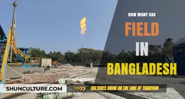 Exploring Bangladesh's Gas Fields: A Comprehensive Count and Overview