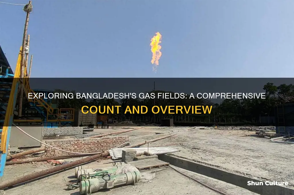 how many gas field in bangladesh