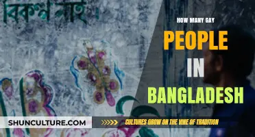Exploring the Unseen: Bangladesh's LGBTQ+ Community Population Insights