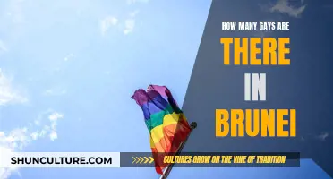 Exploring the Number of Gay People in Brunei