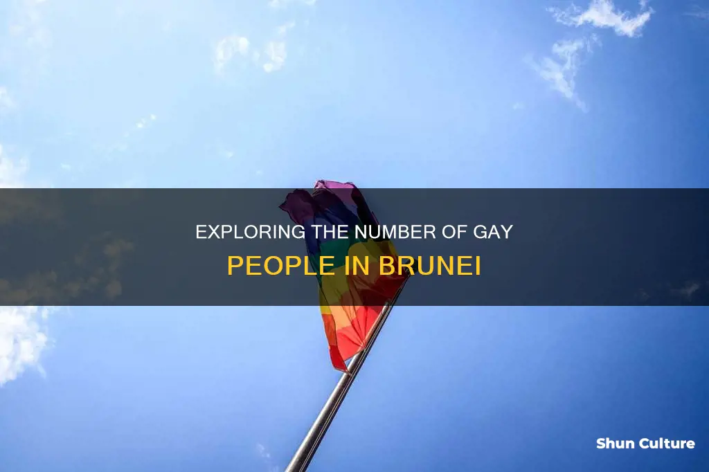 how many gays are there in brunei