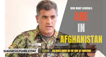 General Abundance: Examining Afghanistan's High-Ranking Military Leadership