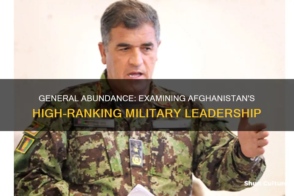 how many generals are in afghanistan