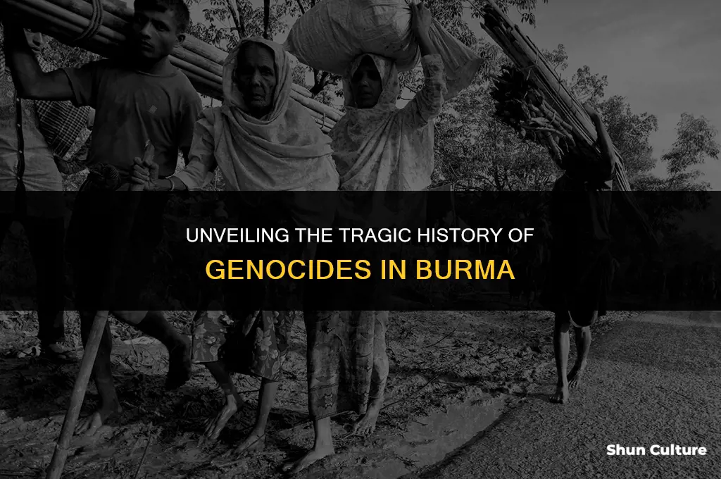 how many genocides occurred in burma