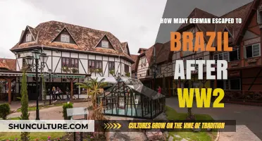 German Escape to Brazil: Post-WW2 Migration and Hidden Histories