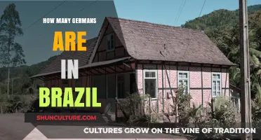 Exploring the German Presence: How Many Germans Live in Brazil?