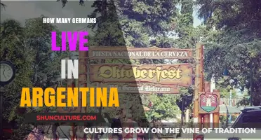 Exploring the German Community in Argentina: A Demographic Insight