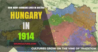 German Population in Austria-Hungary: 1914 Statistics Unveiled