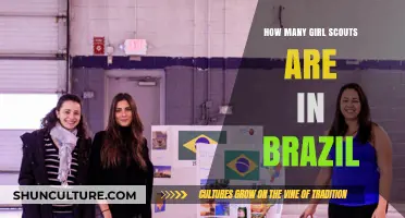 Exploring Brazil's Girl Scout Movement: Membership Numbers and Impact
