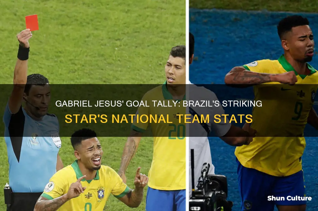 how many goals does gabriel jesus have for brazil