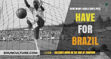 Pele's Legacy: Unveiling His Remarkable Goal-Scoring Record for Brazil