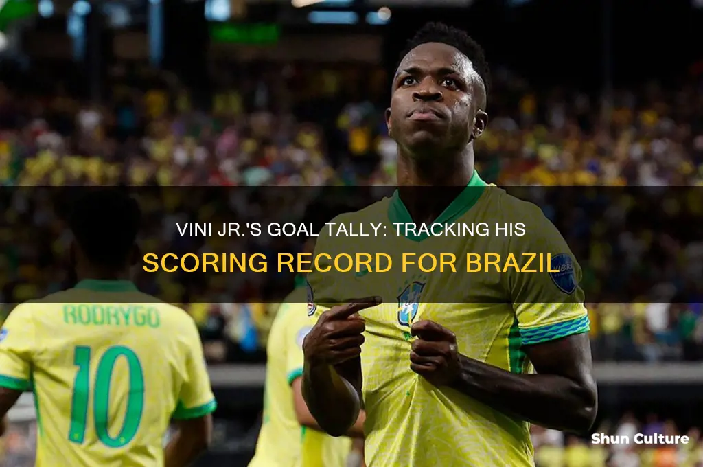 how many goals does vini have for brazil