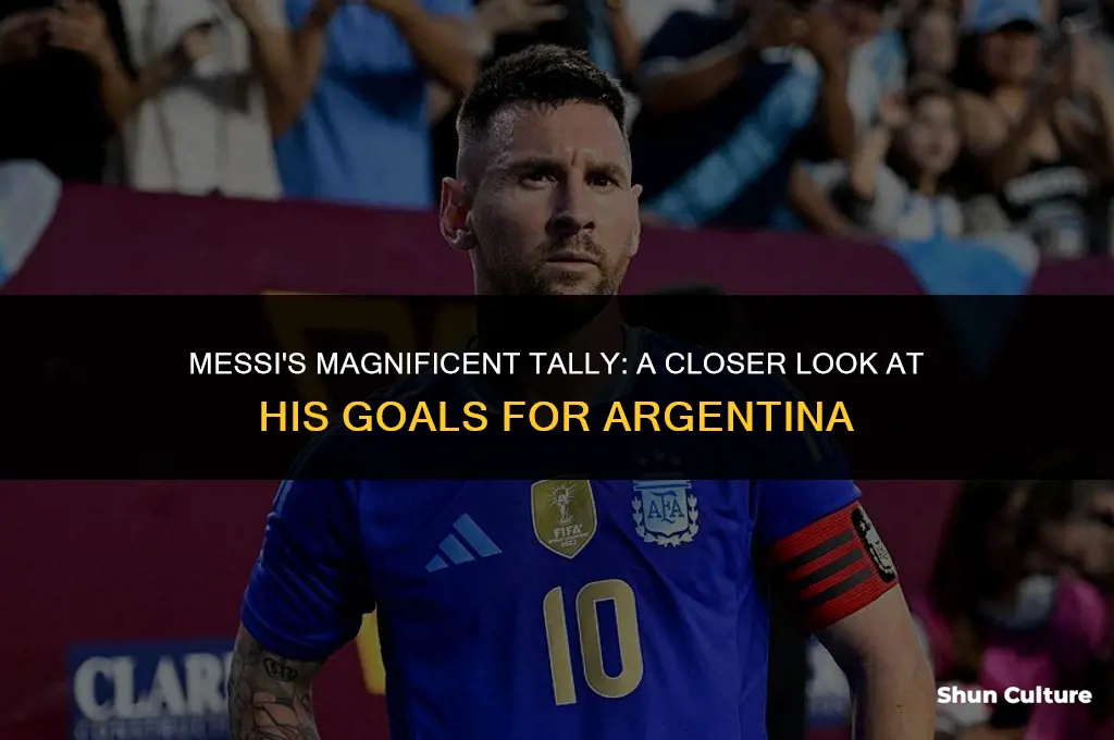 how many goals has messi scored for argentina national team