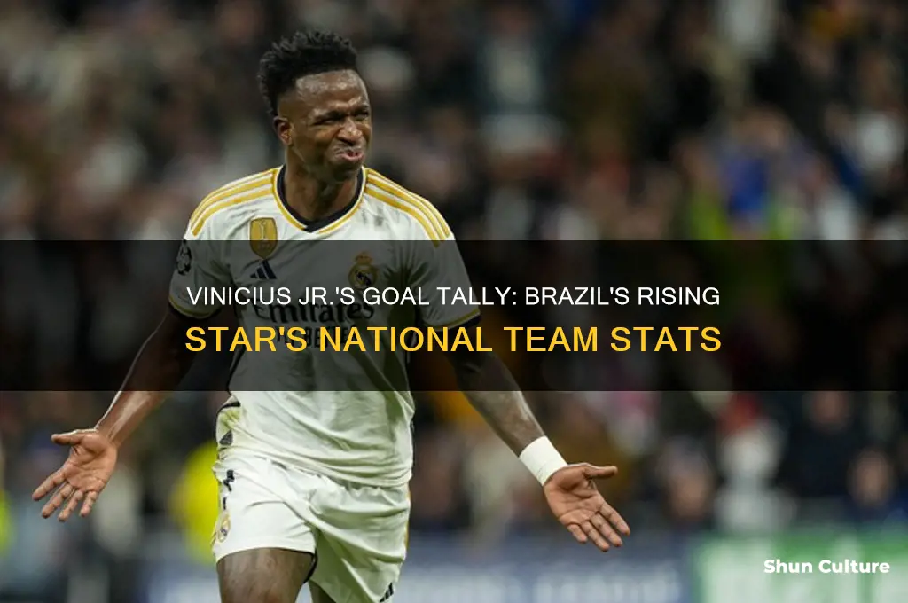 how many goals has vinicius scored for brazil