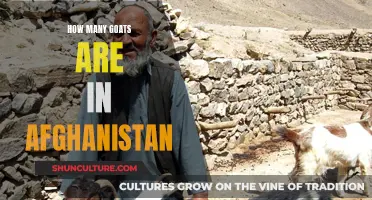 Goat Population in Afghanistan: A Surprising Count