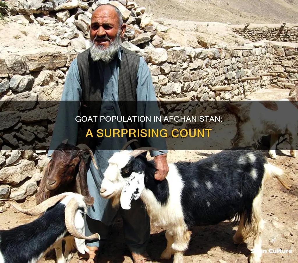 how many goats are in afghanistan