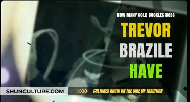 Trevor Brazile's Gold Buckle Collection: Counting His Remarkable Achievements