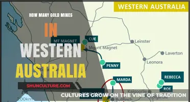 Gold Rush in Western Australia: Discovering the Gold Mines