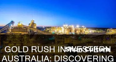 how many gold mines in western australia