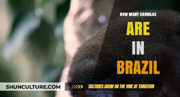 Exploring Brazil's Primate Population: Are There Gorillas in the Wild?
