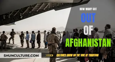 The Great Afghan Exodus: A Nation's Flight for Survival